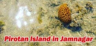 Pirotan Tapu near Jamnagar - Pirotan Island Marine National Park Timings - Photos