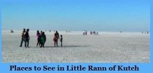 Places to See in Little Rann of Kutch - Visit White Rann of Kutch