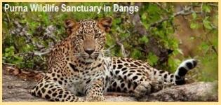 Purna Wildlife Sanctuary in Dangs Gujarat - How to Reach Purna Wildlife Sanctuary