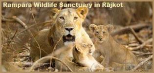 Rampara Wildlife Sanctuary in Rajkot Gujarat - Information - Address - Photos