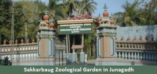 Sakkarbaug Zoological Garden in Junagadh Gujarat - Timings of Sakkarbaug Zoo Park