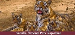 Sariska National Park Rajasthan- Sariska National Park Safari Timings Tickets