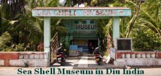 Sea Shell Museum Diu - Seashell Museum in Diu India