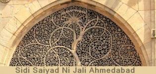 Sidi Saiyad Ni Jali in Ahmedabad Gujarat - Sidi Saiyad Ni Jali History Ahmedabad