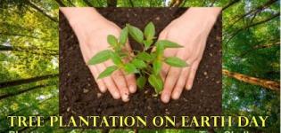 Tree Plantation Program, Annual Event on This Earth day at Rajkot in 2018