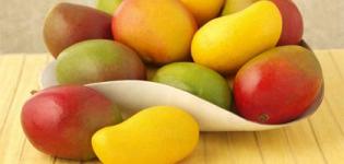 Which is State Fruit of Gujarat India - Mango (Keri) Verities Photos - Types of Mango Images