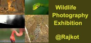 Wildlife Photography Exhibition 2017 in Rajkot at Shyama Prasad Mukherji Art Gallery