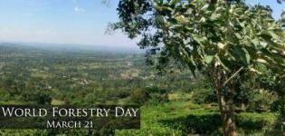World Forest Day Date in India - When is World Forestry Day Celebrated Every Year