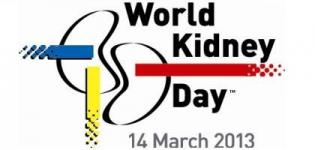 World Kidney Day 2013 - World Kidney Day 2013 in India