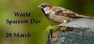 World Sparrow Day Date in India - When is World Sparrow Day Celebrated Every Year