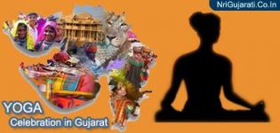 Yoga Day Celebration in Gujarat 2015 - Latest Photos New Images of People Performing Yoga