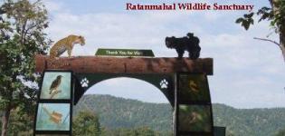 Ratanmahal Sloth Bear Sanctuary Dahod Gujarat - Ratanmahal Wildlife Sanctuary